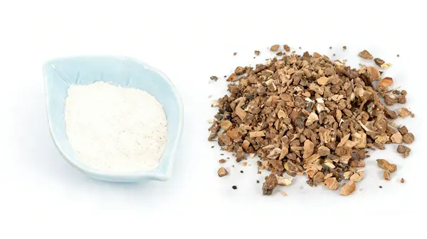 birch bark extract birch bark extract