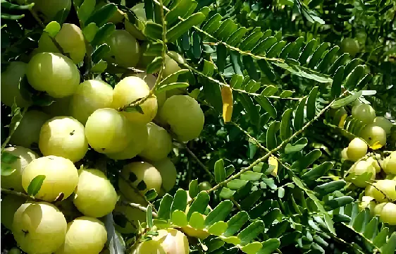 product-1-1 product-1-1