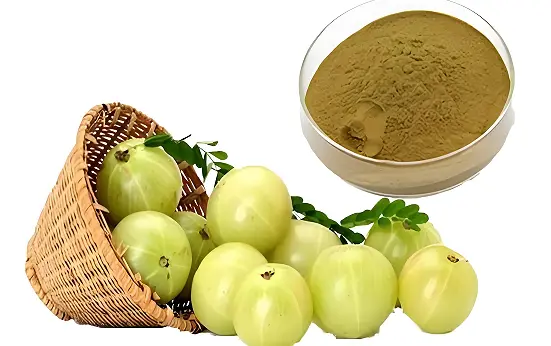 Phyllanthus Emblica Extract