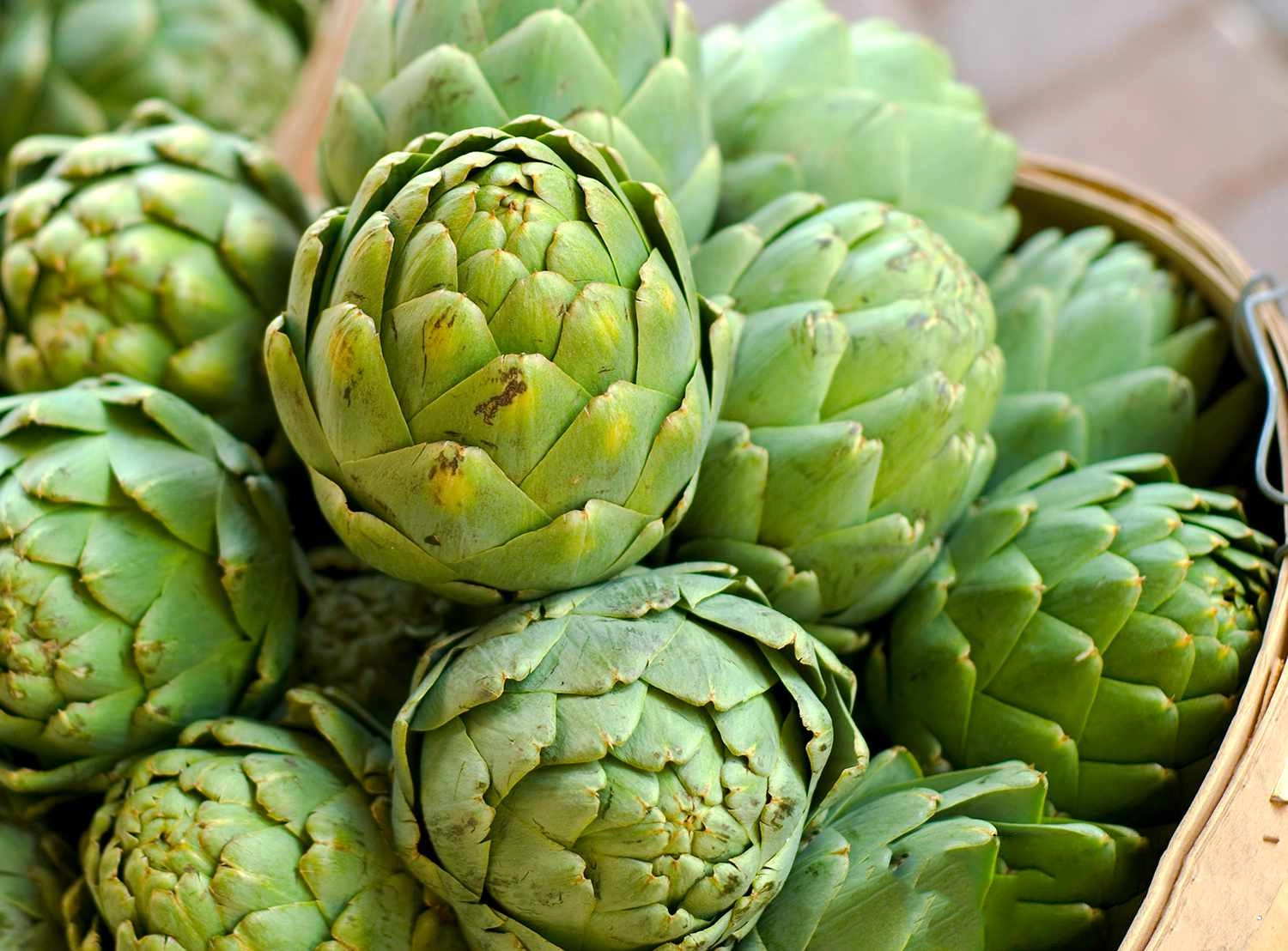 Artichoke Extract Powder Artichoke Extract Powder