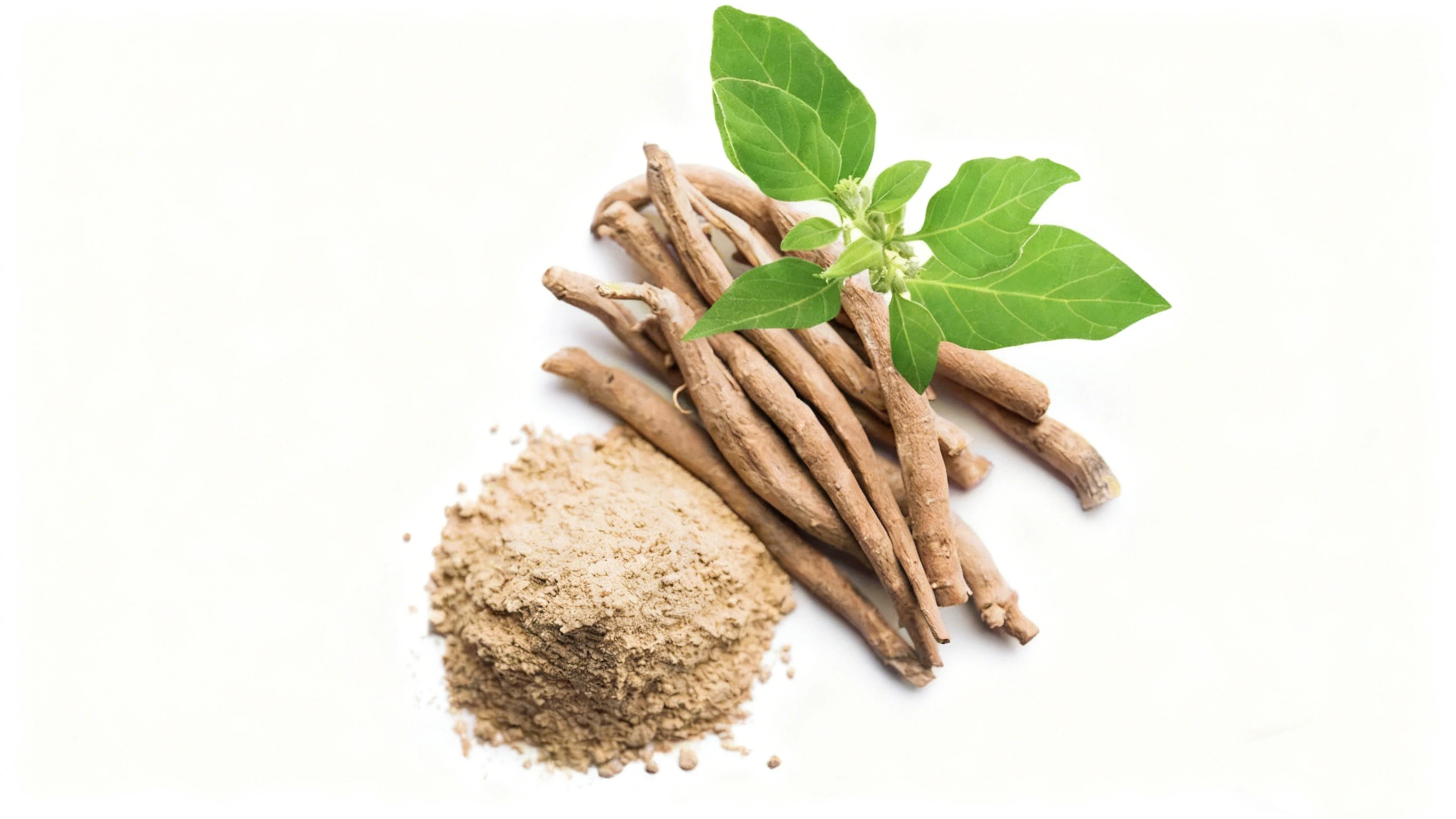 Ashwagandha Root Extract Powder Ashwagandha Root Extract Powder