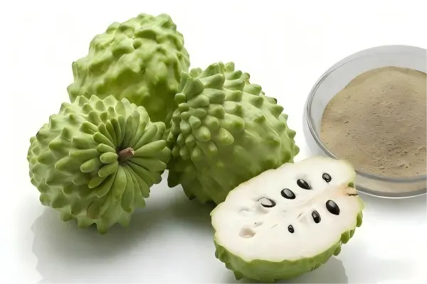 Annona Squamosa Fruit powder Annona Squamosa Fruit powder