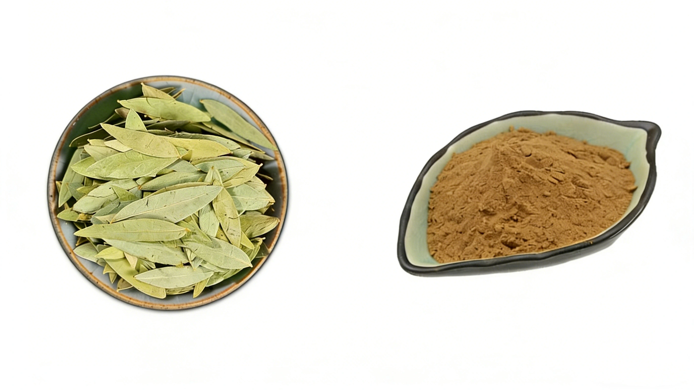 Senna Leaf Extract Powder Senna Leaf Extract Powder