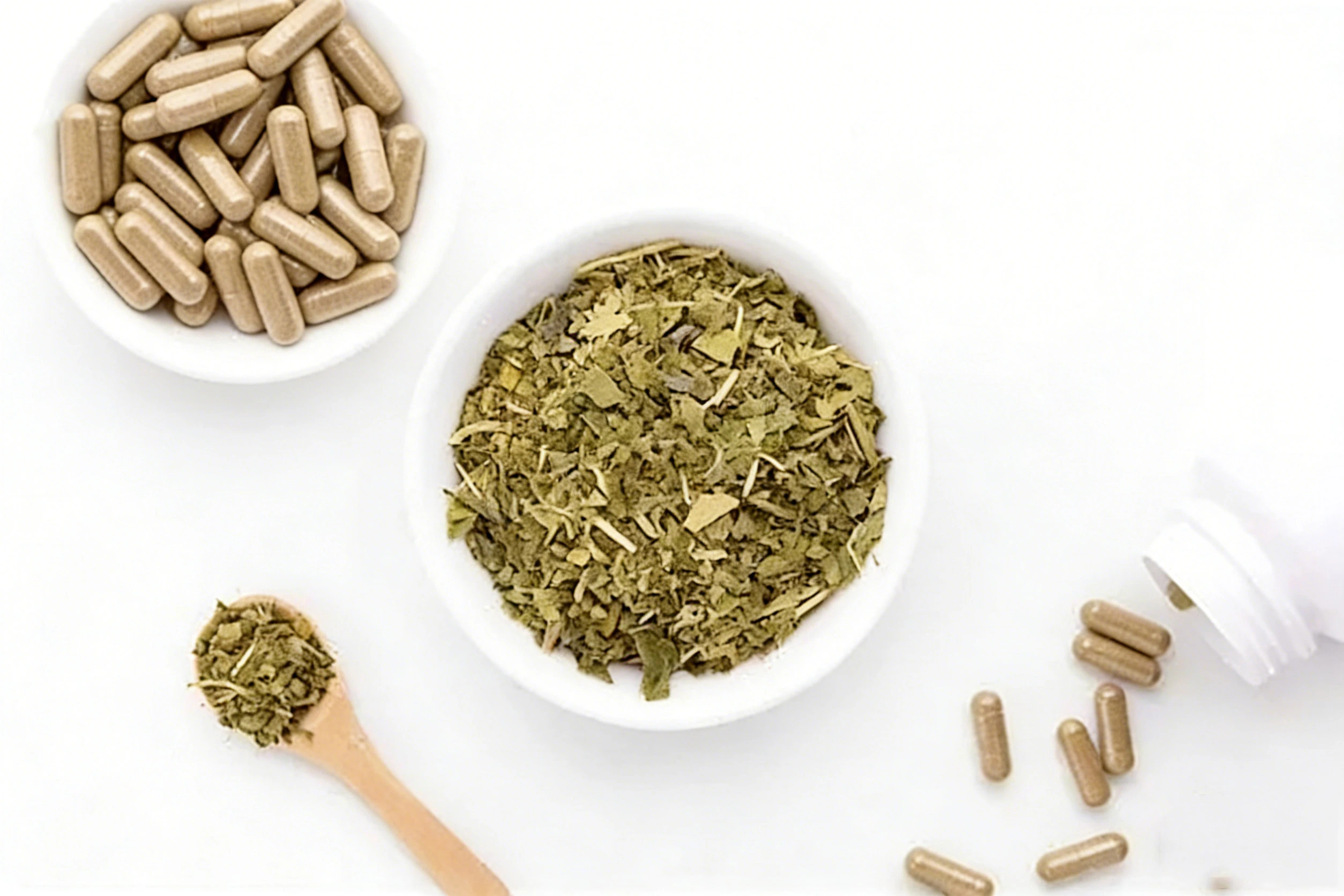 Gymnema Sylvestre Extract Powder