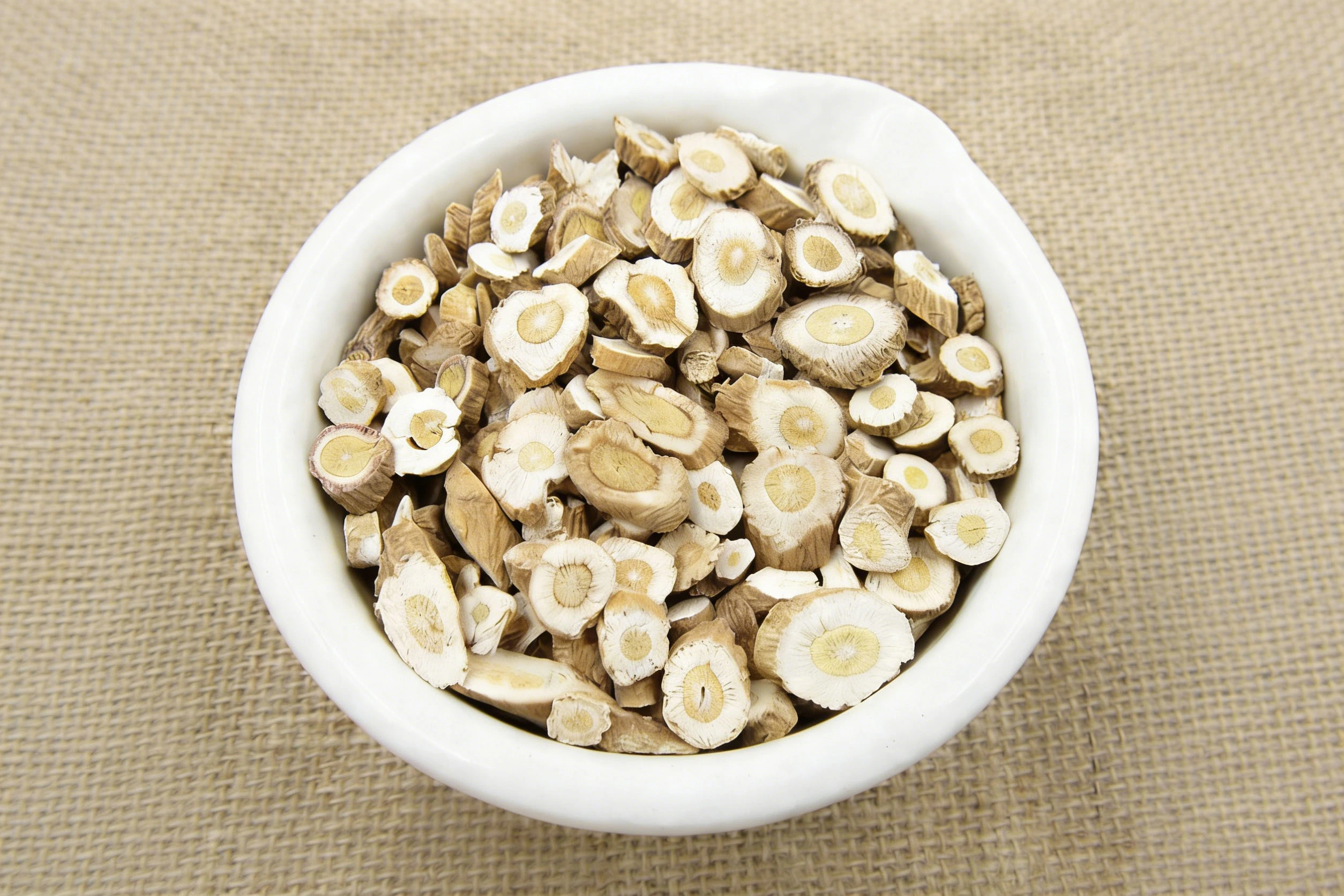 Isatis Root Plant Isatis Root Plant