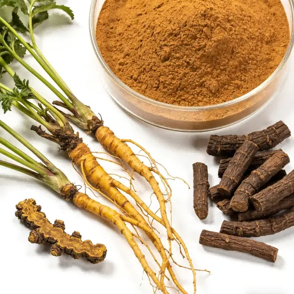 Rhizoma Coptidis Extract