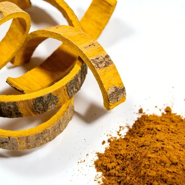 Cortex Phellodendri Extract