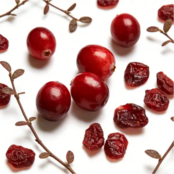 Cranberry Extract Powder