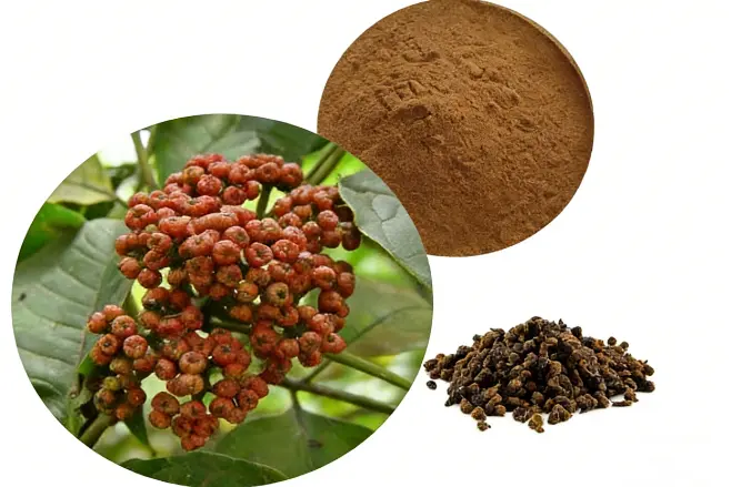 Evodia Extract Evodia Extract