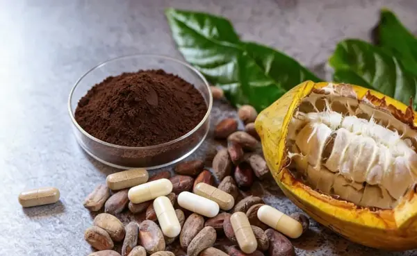 Cocoa Seed Extract Cocoa Seed Extract
