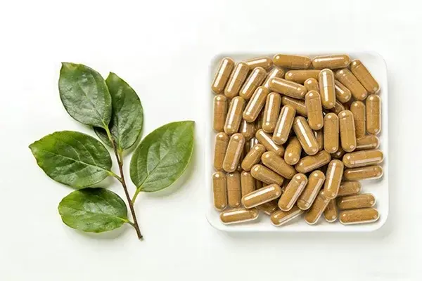 Persimmon Application