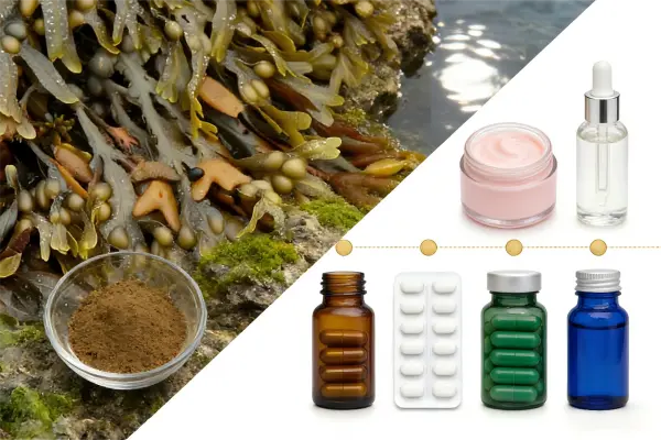 Bladderwrack Extract Powder