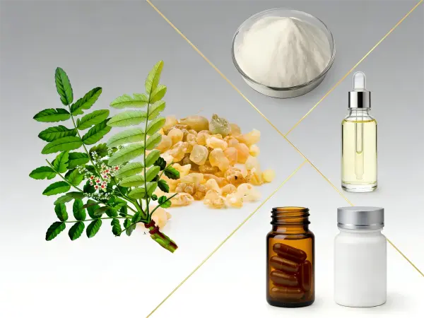 Boswellia Serrata Extract Powder Boswellia Serrata Extract Powder