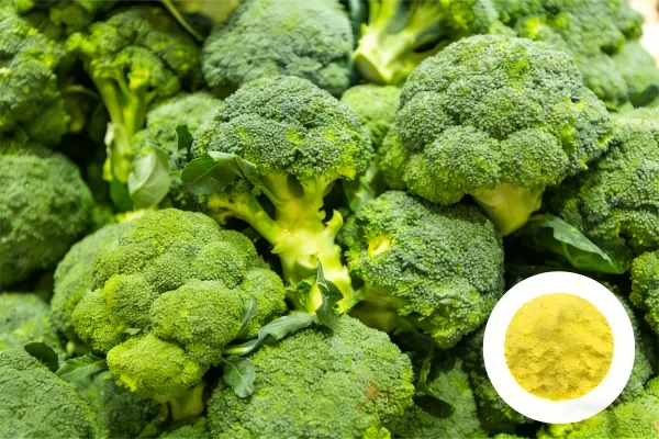 broccoli extract broccoli extract