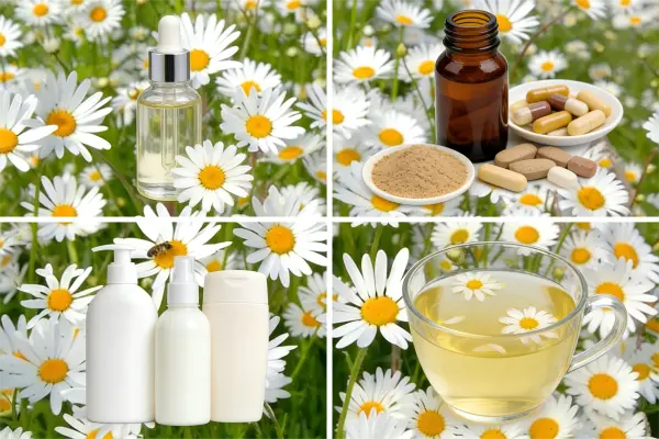 Chamomile Extract Powder Chamomile Extract Powder