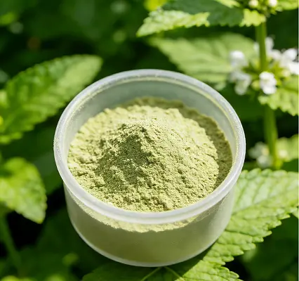 Melissa Officinalis Extract