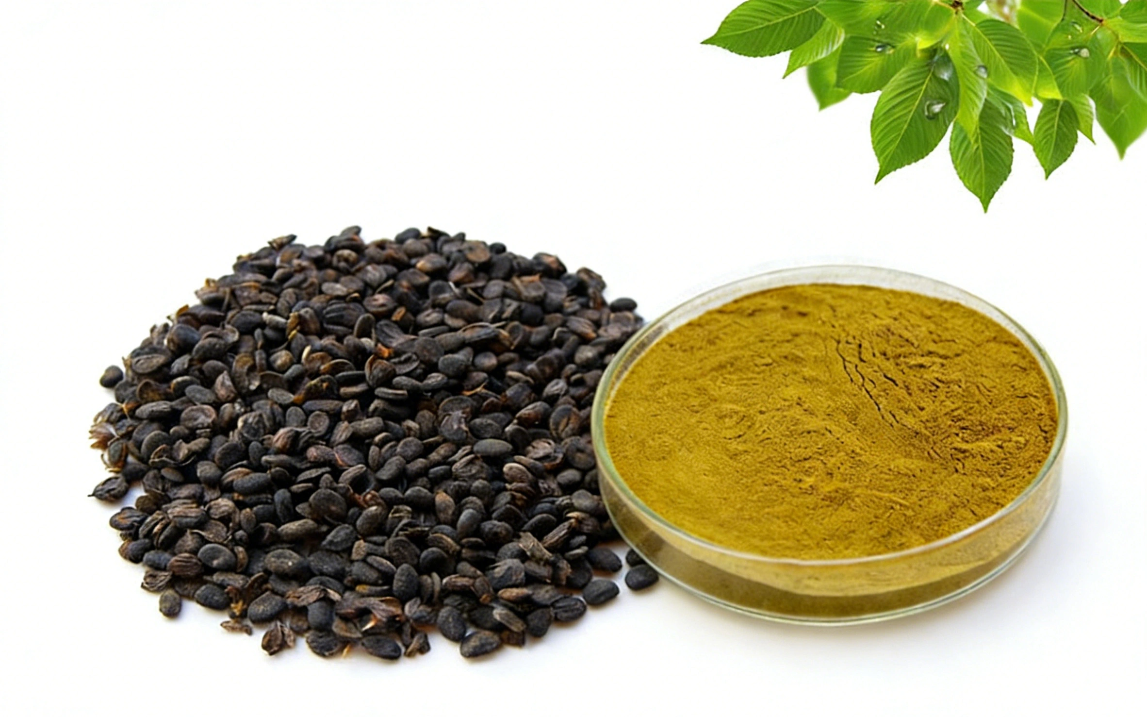 Fructus Psoraleae Extract