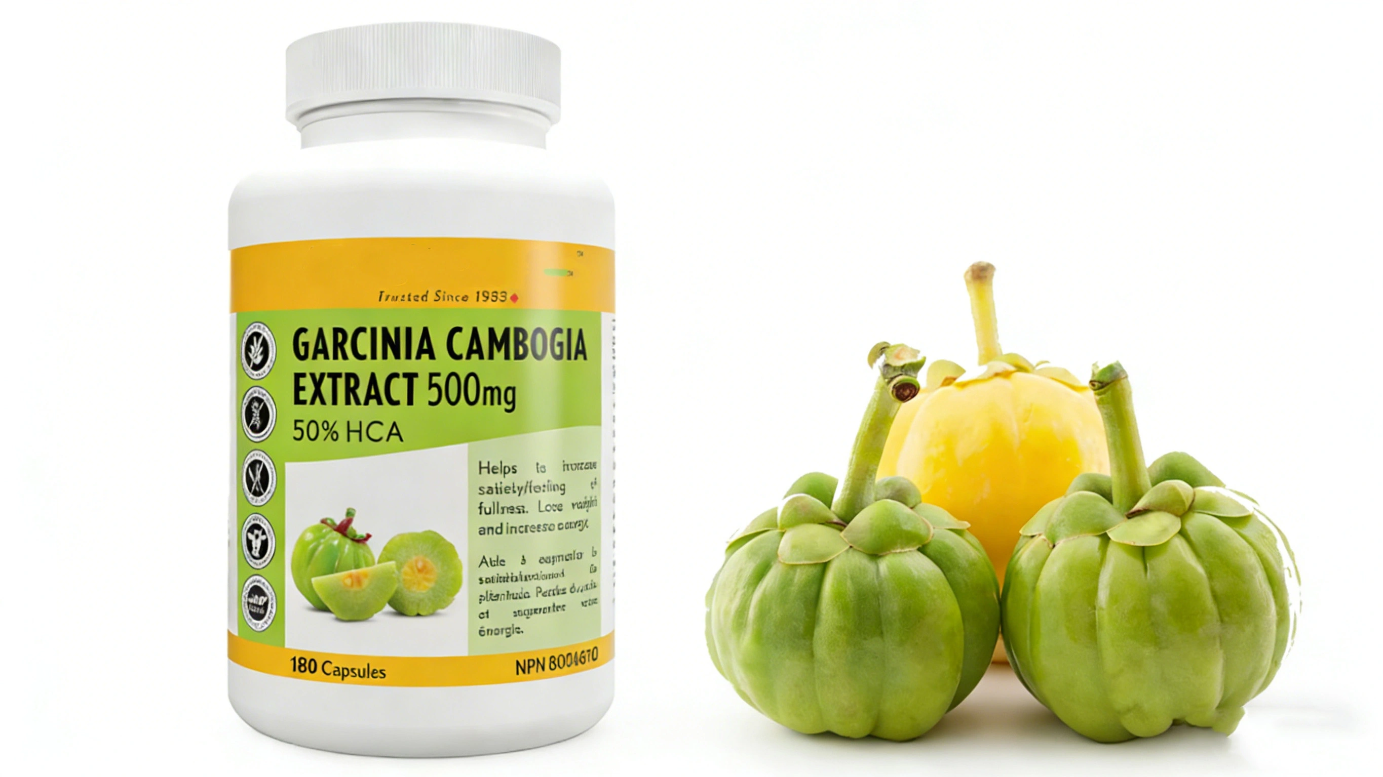 Garcinia Combogia Extract Product Garcinia Combogia Extract Product