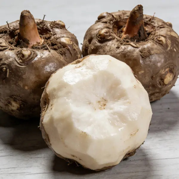 Konjac Glucomannan Konjac Glucomannan