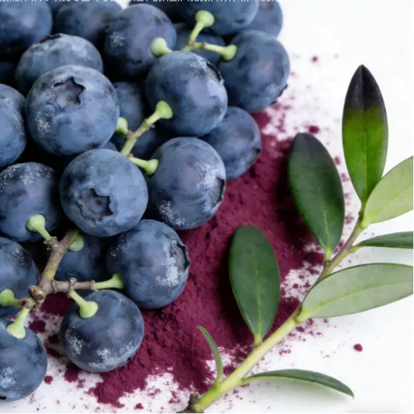 Blueberry Extract Powder