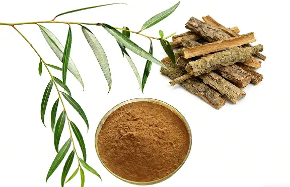 White Willow Bark Extract Powder White Willow Bark Extract Powder