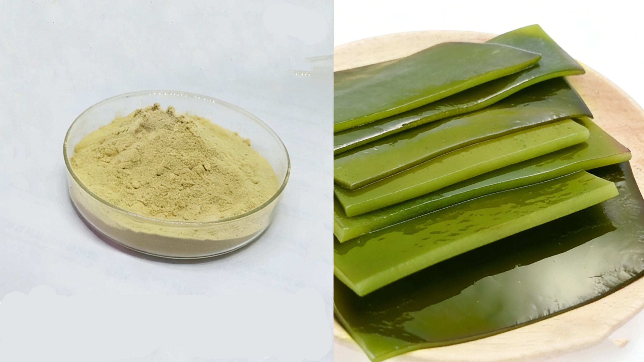 Kelp Extract Kelp Extract