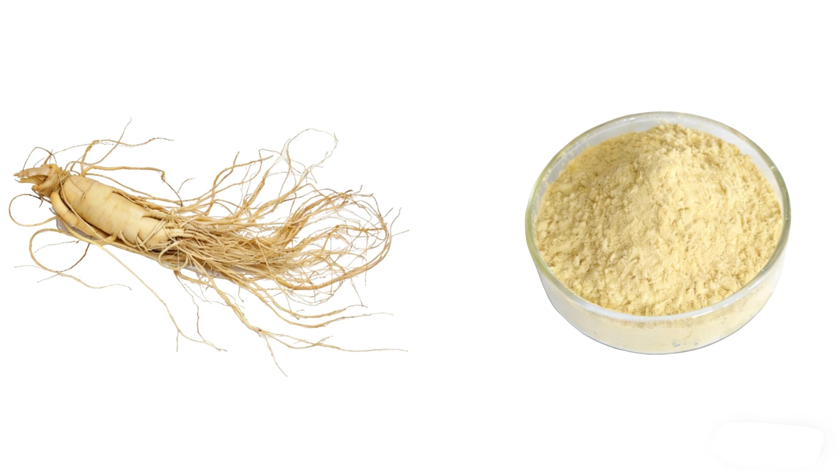 Ginseng Extract Powder