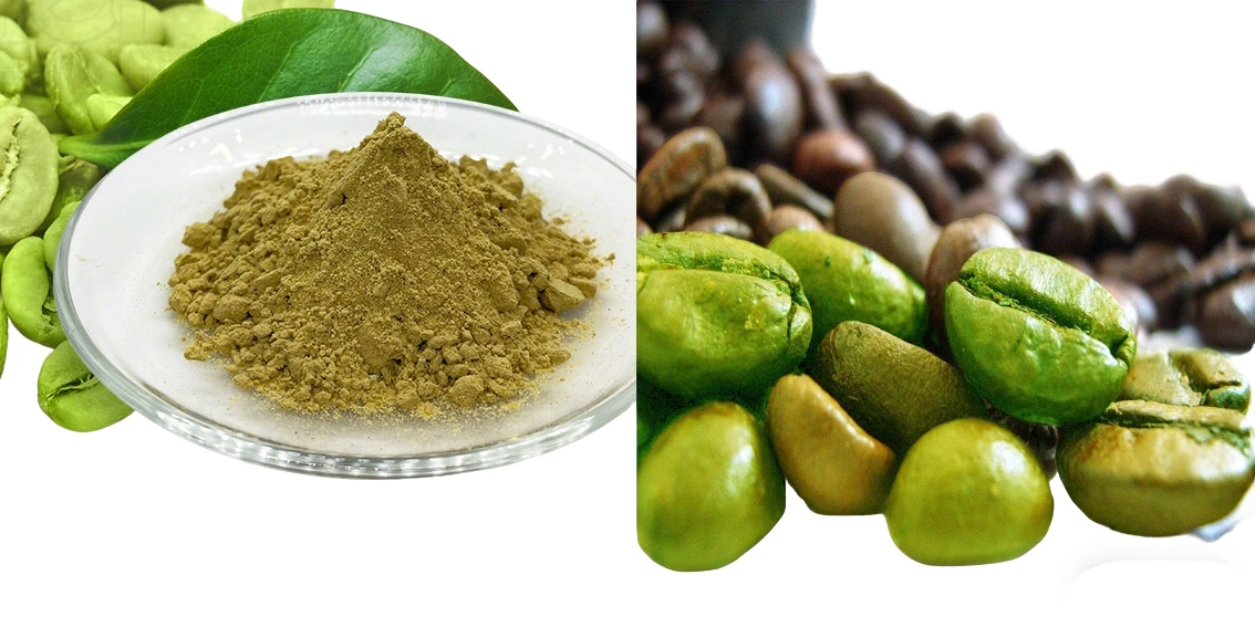 Green Coffee Bean Extract