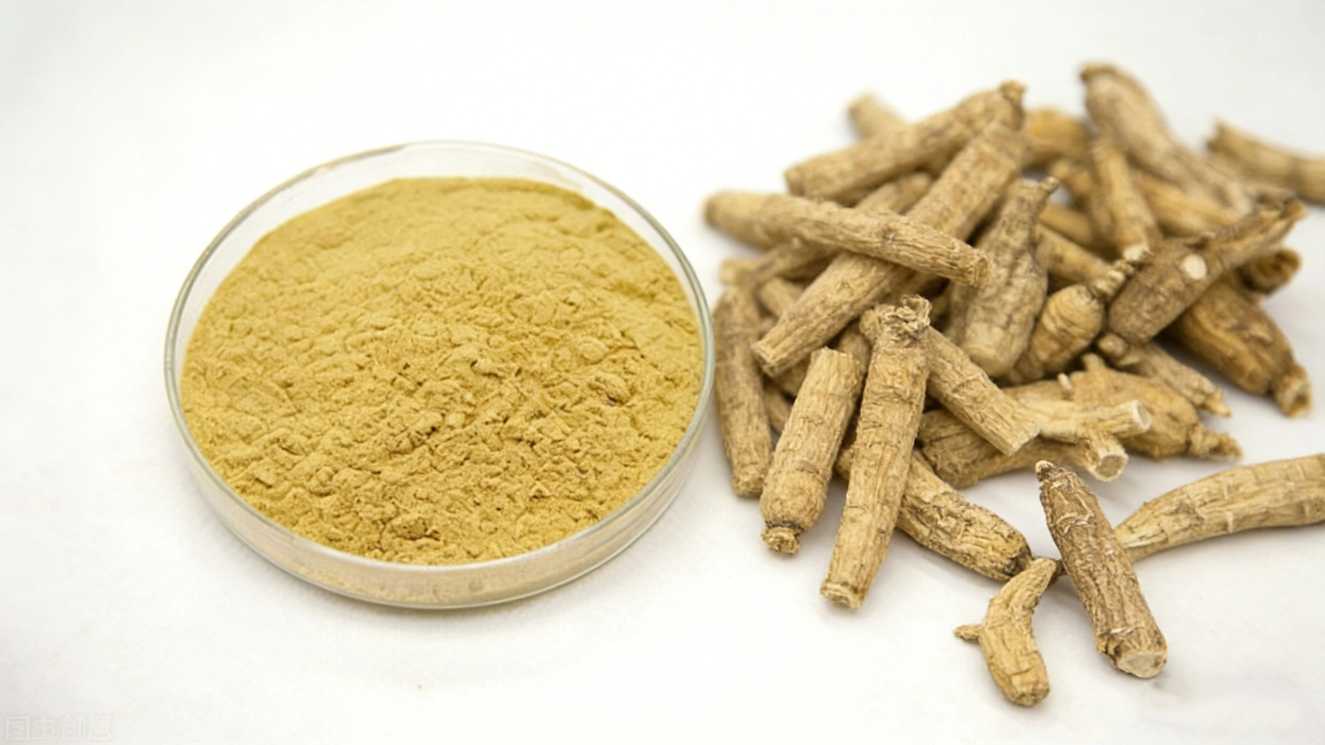 American Ginseng  Extract Powder