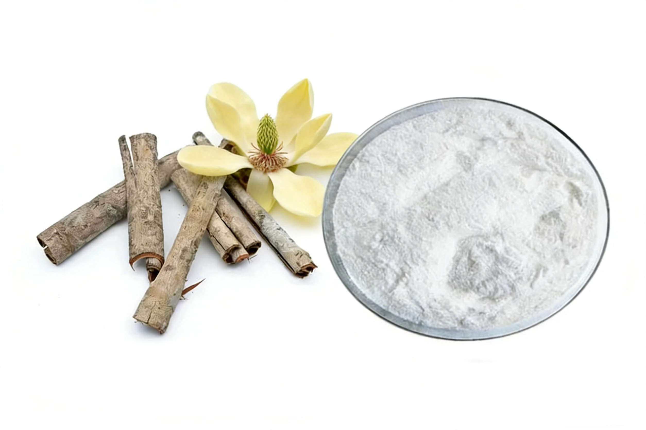 Magnolia Bark Extract Powder