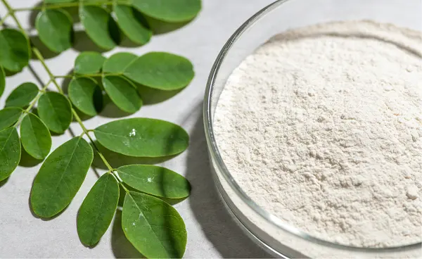 Organic Moringa Leaf Extract