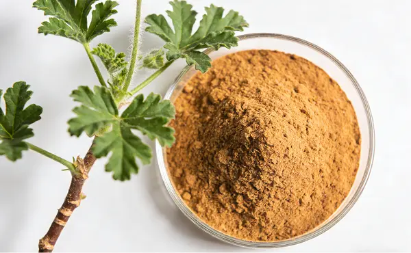 Pelargonium Sidoides Extract
