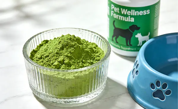 Spinach Extract Powder Spinach Extract Powder