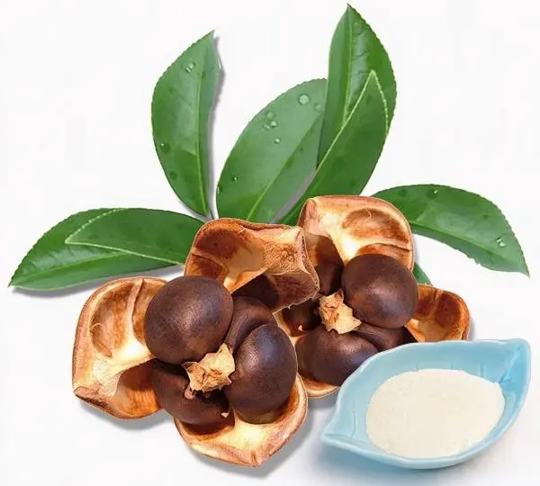 camellia oleifera seed extract
