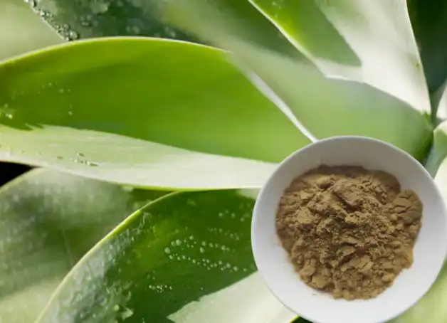 Yucca Extract Yucca Extract