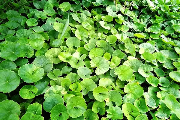 blog-1-1