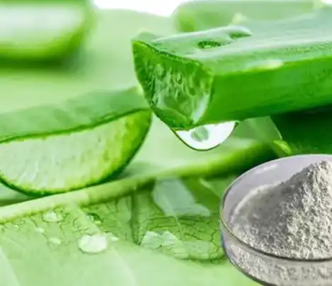 Aloe vera gel powder