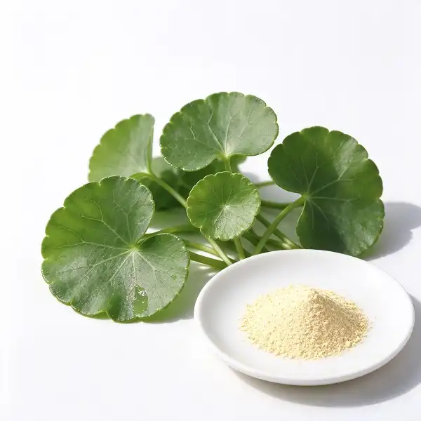 Centella Asiatica Extract Powder Centella Asiatica Extract Powder