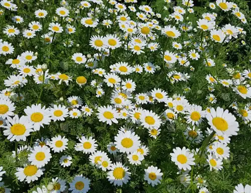 blog-1-1