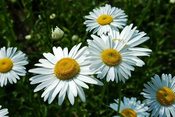 blog-1-1