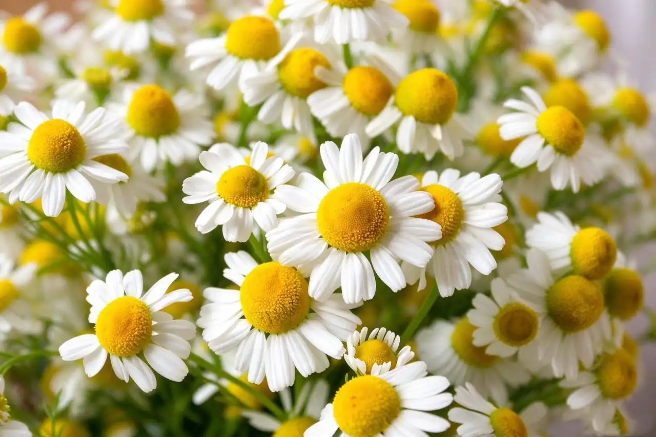 blog-1-1