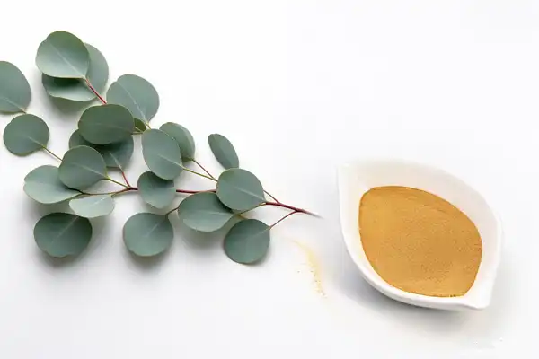 Eucalyptus Leaf Extract
