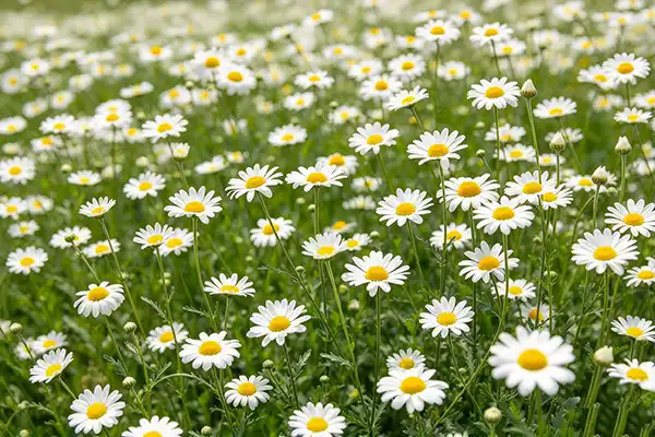 blog-1-1