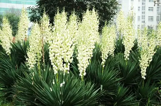 blog-1-1 blog-1-1