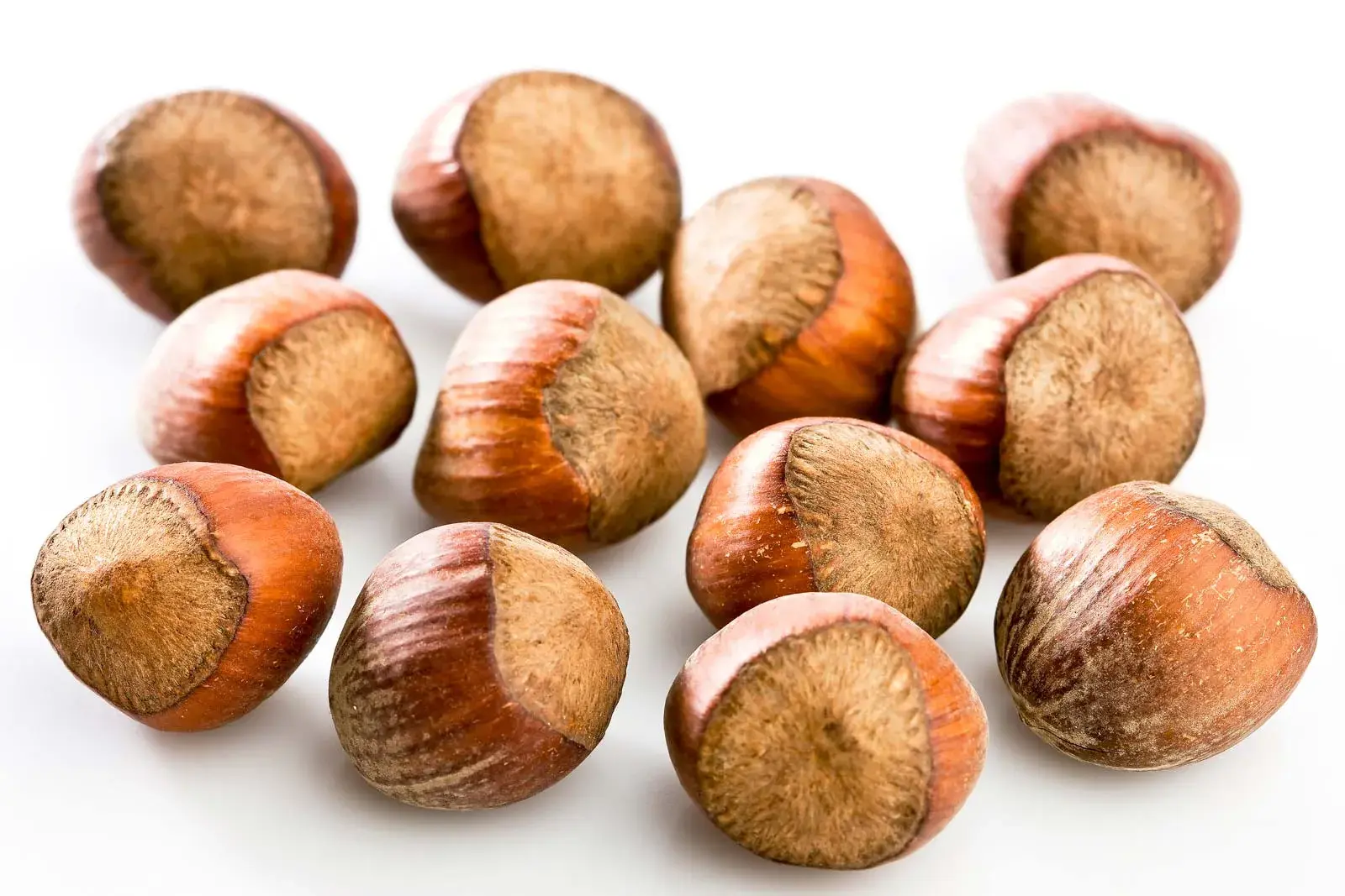 Hazelnut Powder