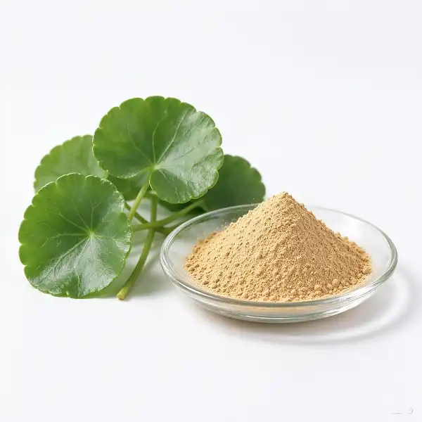 Centella Asiatica Extract Powder
