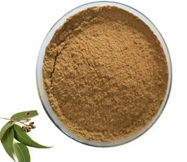 Eucalyptus Leaf Extract