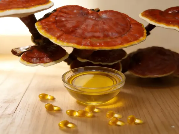 Reishi Mushroom Spore Oil Reishi Mushroom Spore Oil