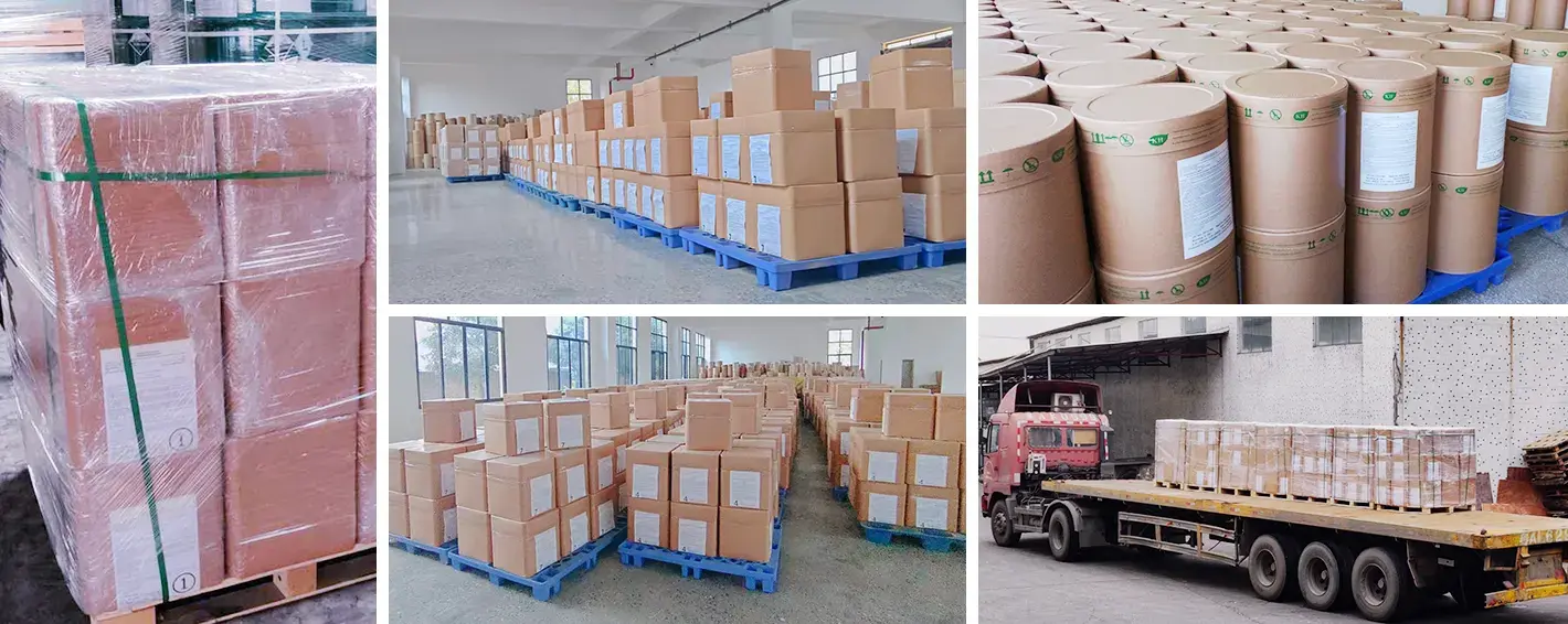 rhizoma coptidis extract