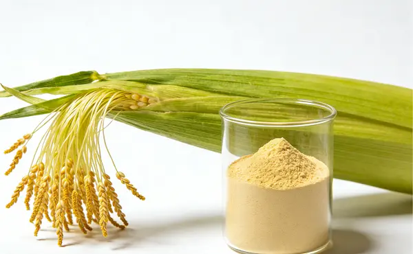 Corn Stigma Extract Corn Stigma Extract